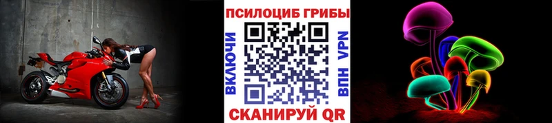 Купить где  Новозыбков  Псилоцибиновые грибы MAGIC MUSHROOMS 