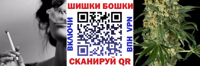 Бошки Шишки ГИДРОПОН  Купить где  Новозыбков 